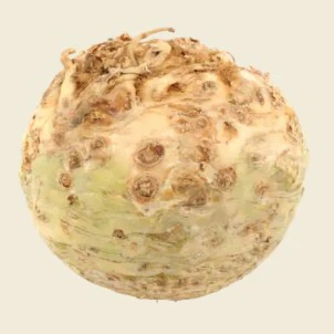 Fresh Celeriac 1 x Each - TO ORDER ONLY