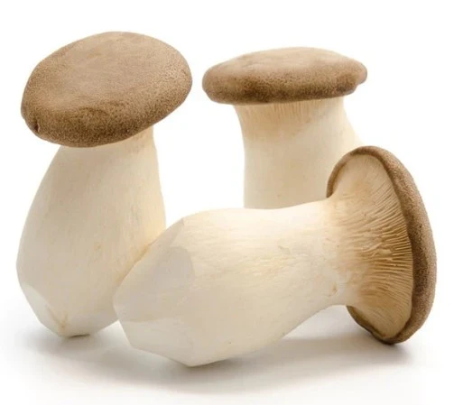 Fresh King Oyster Mushrooms 2kg - TO ORDER ONLY