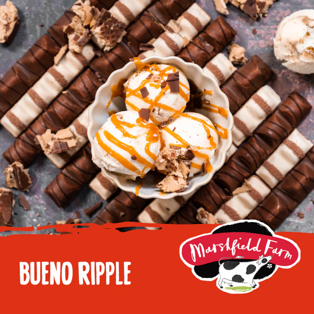 Marshfield Bueno Ripple Ice Cream 5ltr
