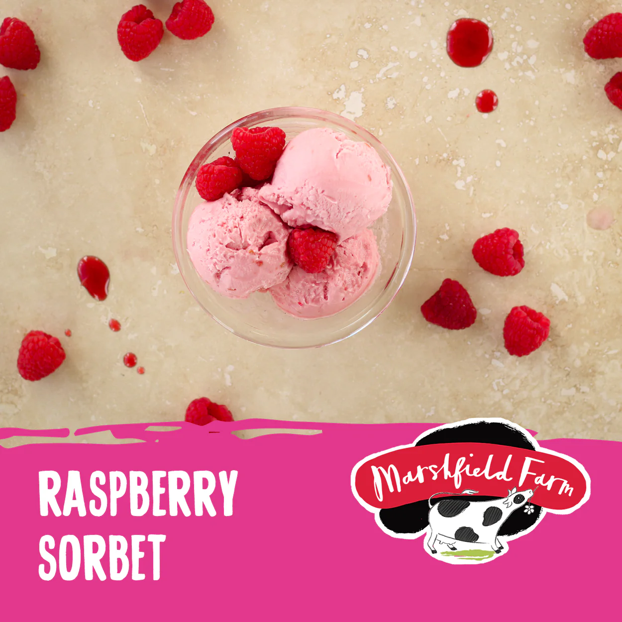 Marshfield Raspberry Sorbet 2.4ltr