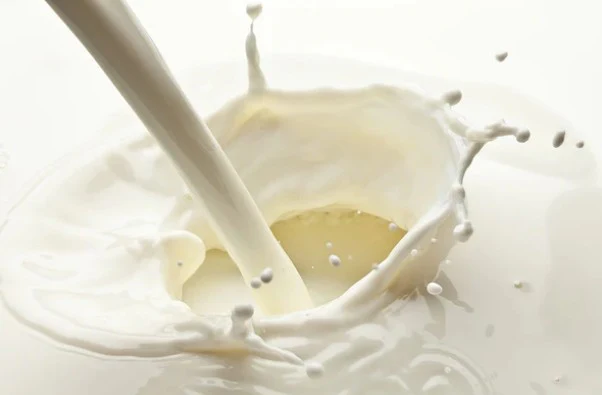 Payne's Fresh Skimmed Milk 1ltr